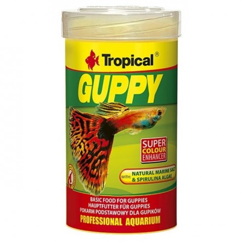 Guppy fish online food